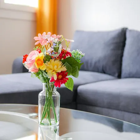 Meeting House - Spacieux T4 A Saint Cyprien Apartment *